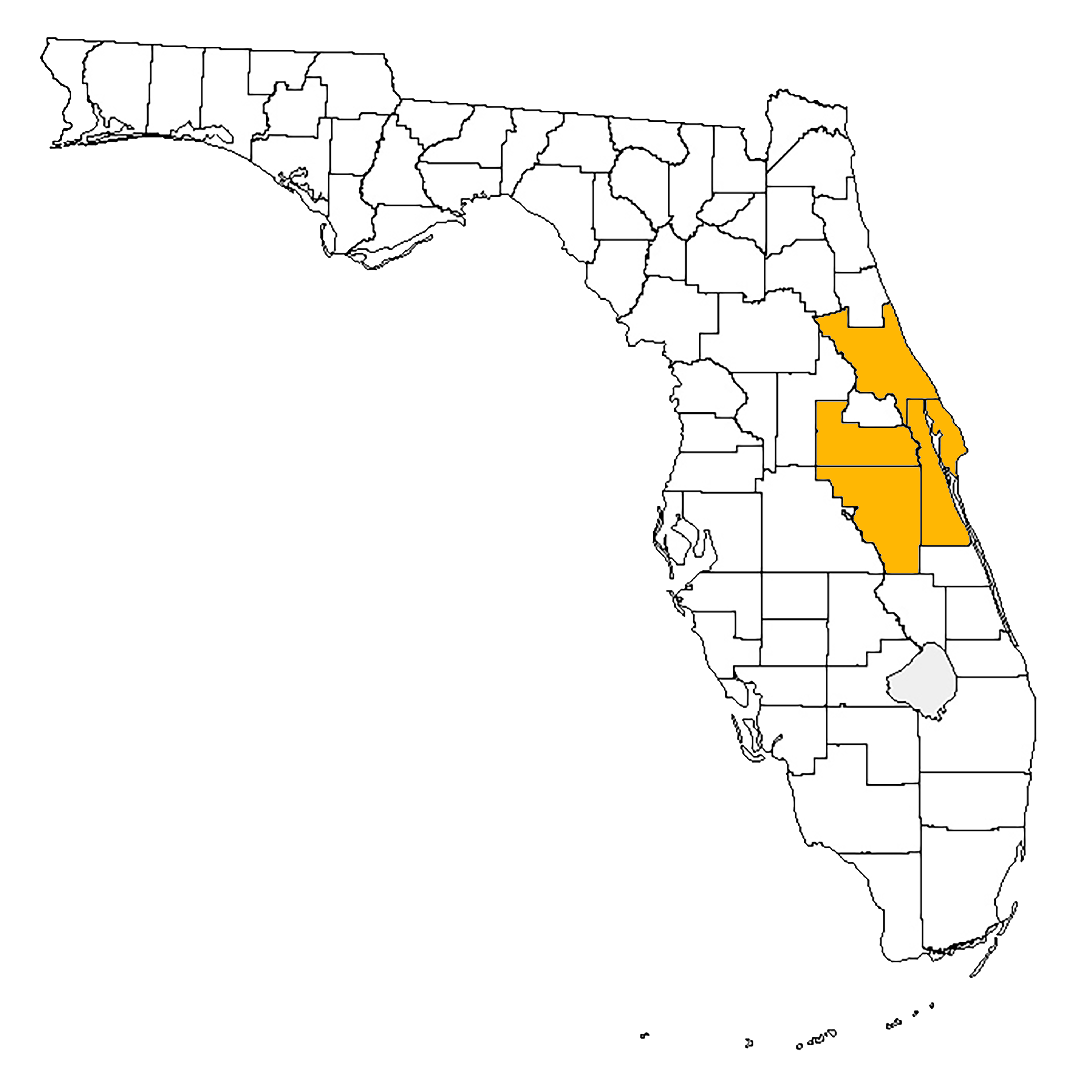 Serving the following Florida counties: Brevard County, Orange County, Volusia County 